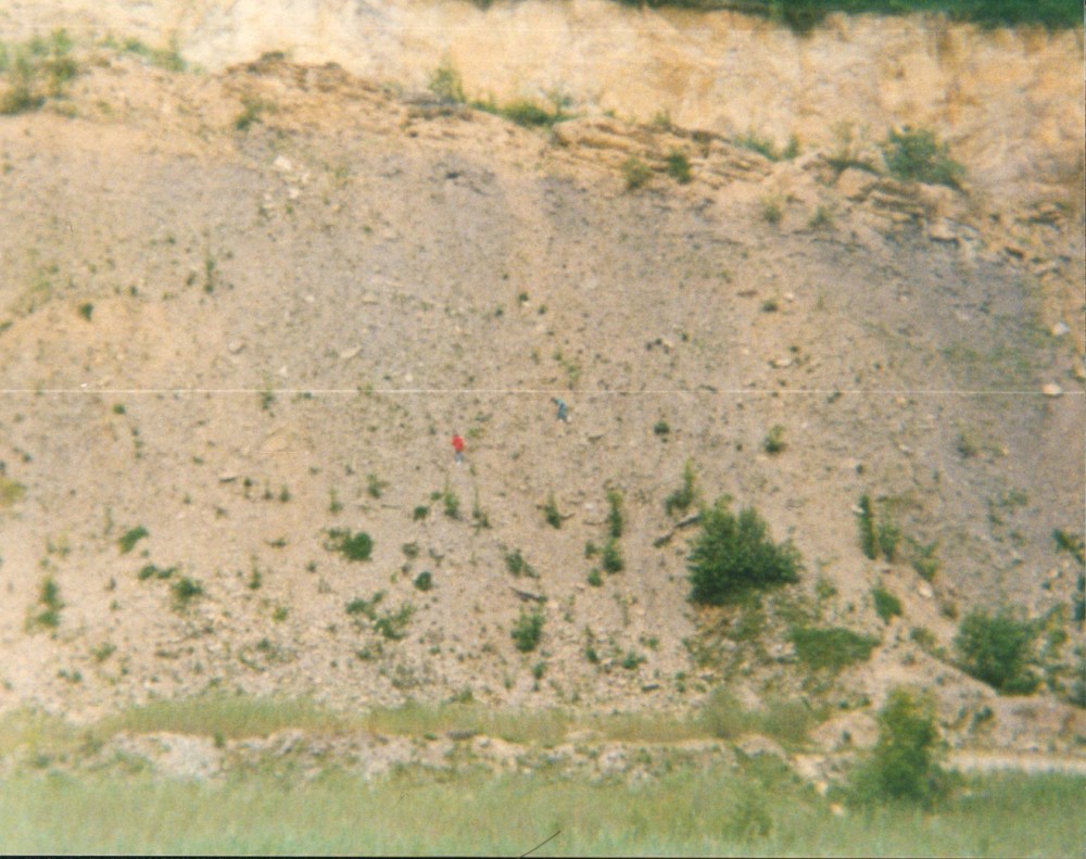 liesberg suisse7.jpg