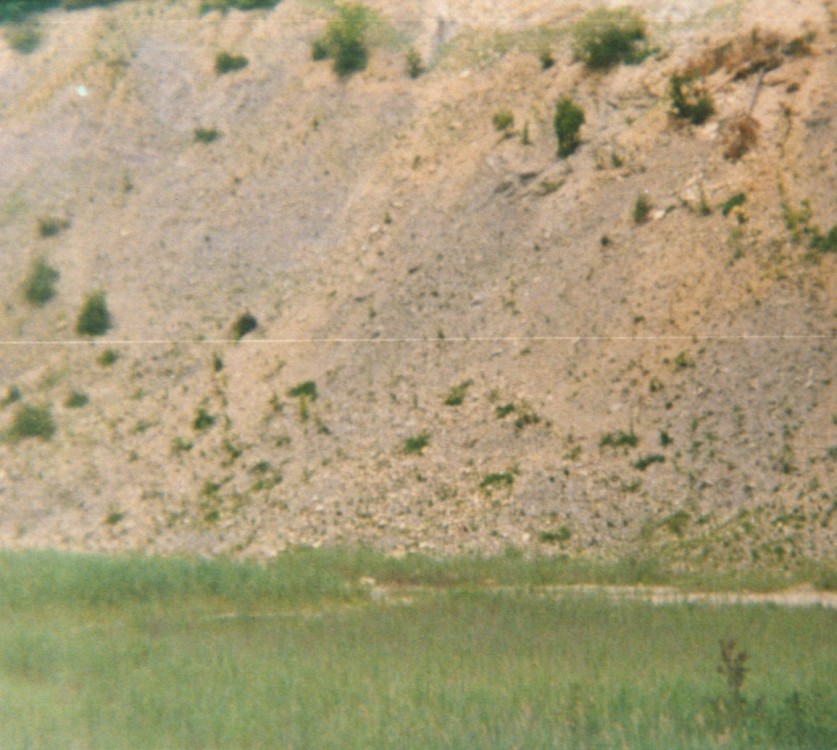 liesberg suisse8.jpg