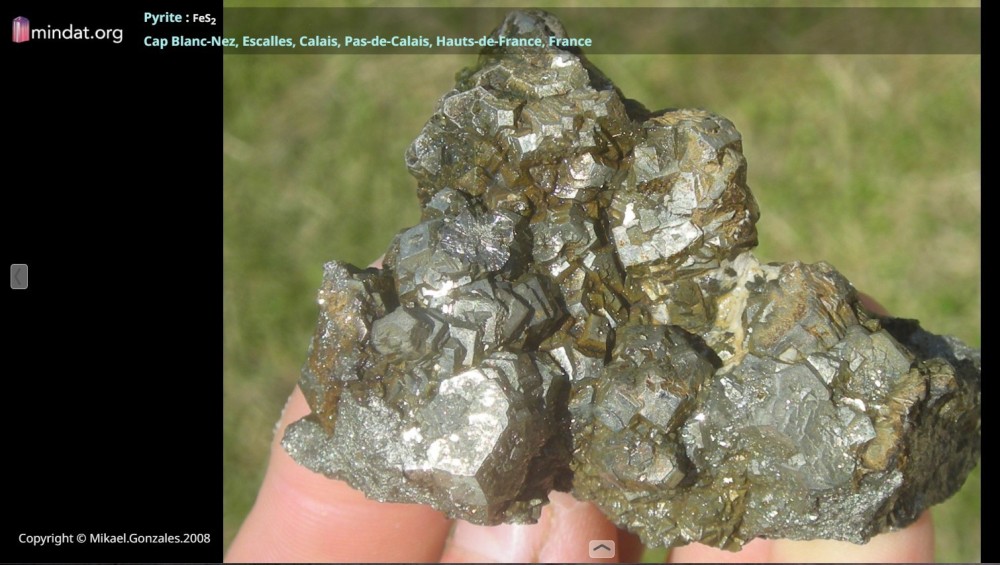 pyrite blanc-nez.jpg