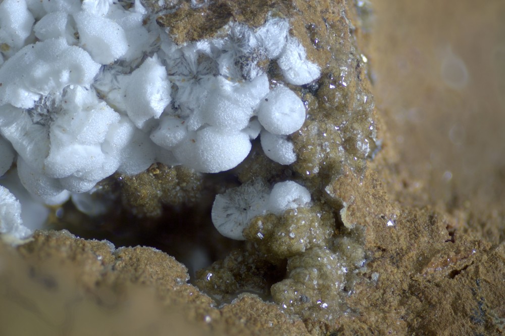 614-055-02 Hydrozincite - Ferme Roche (Hautes Alpes - France) - FOV 5.80 mm.jpg