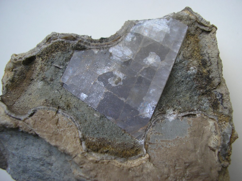BARYTE PRINTZHEIM.JPG