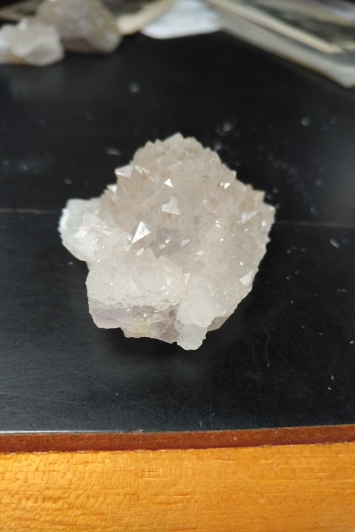 IMG_20230324_1537377 (1).jpg