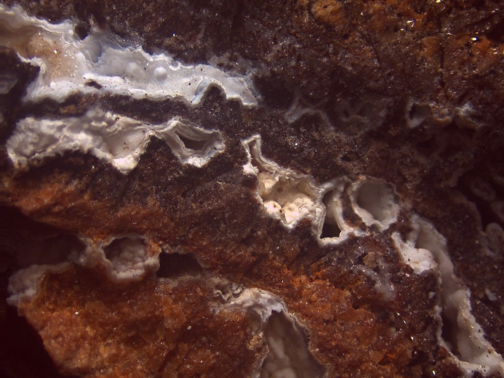 Lacore 135 x 101 s11.jpg