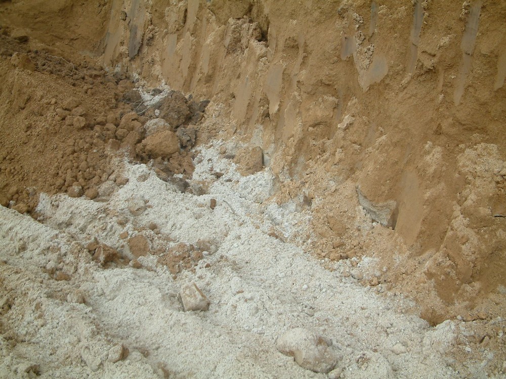 04 05-04-05 plage fossile rue de la Grande Grève.JPG