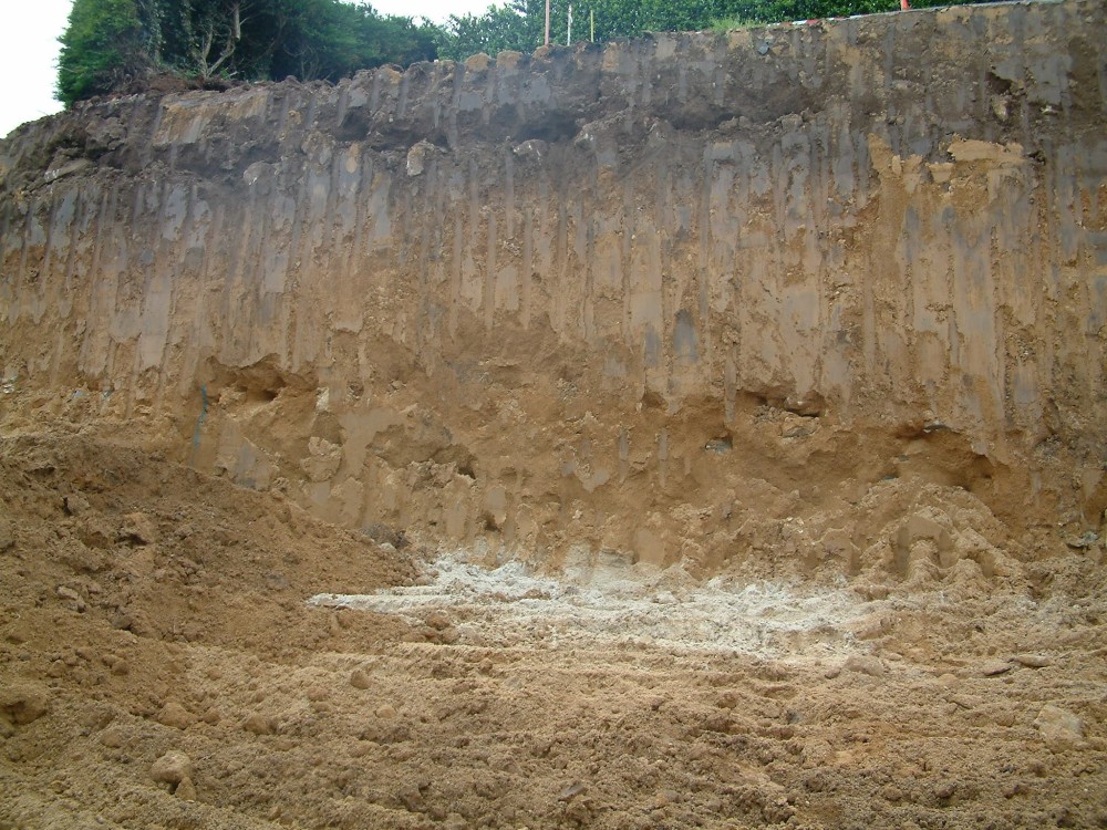 12 05-04-05 plage fossile rue de la Grande Grève.JPG