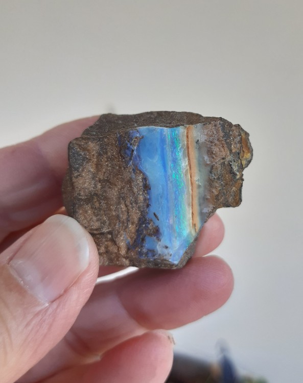 20230404_101426 (2).jpg