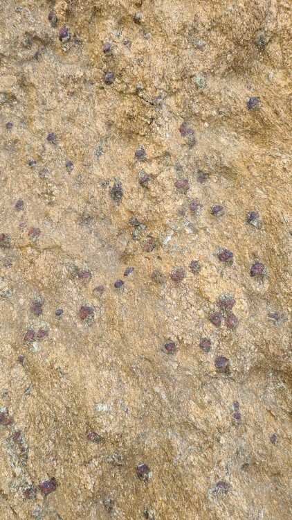 20230423_113320 (2).jpg