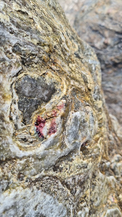 20230423_115030 (1).jpg