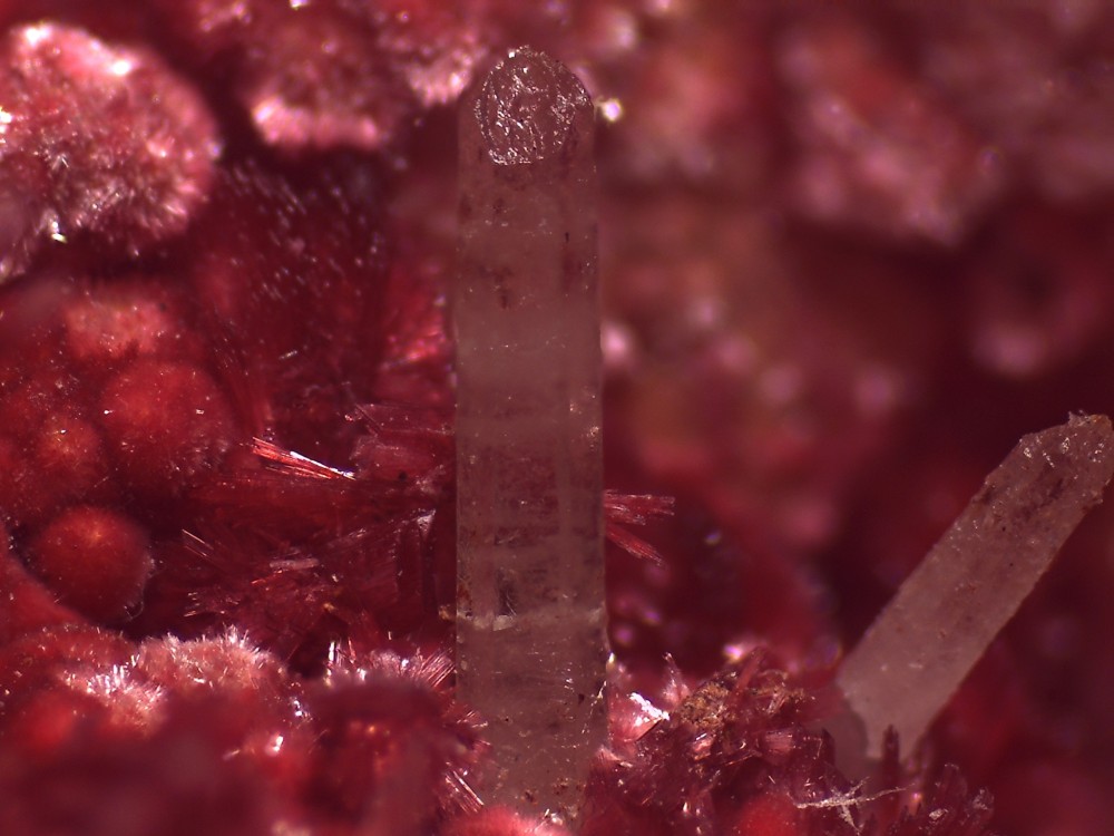 Bouazer 2023 56x42 s10.jpg