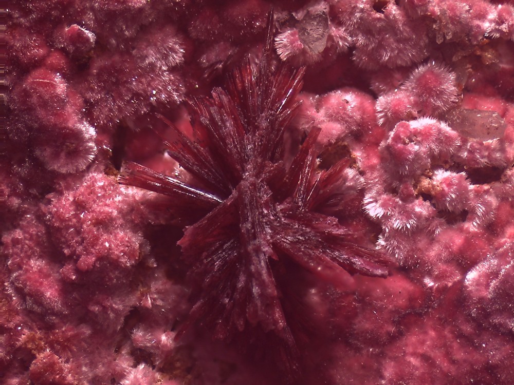 Bouazer 2023 72x54  s15.jpg