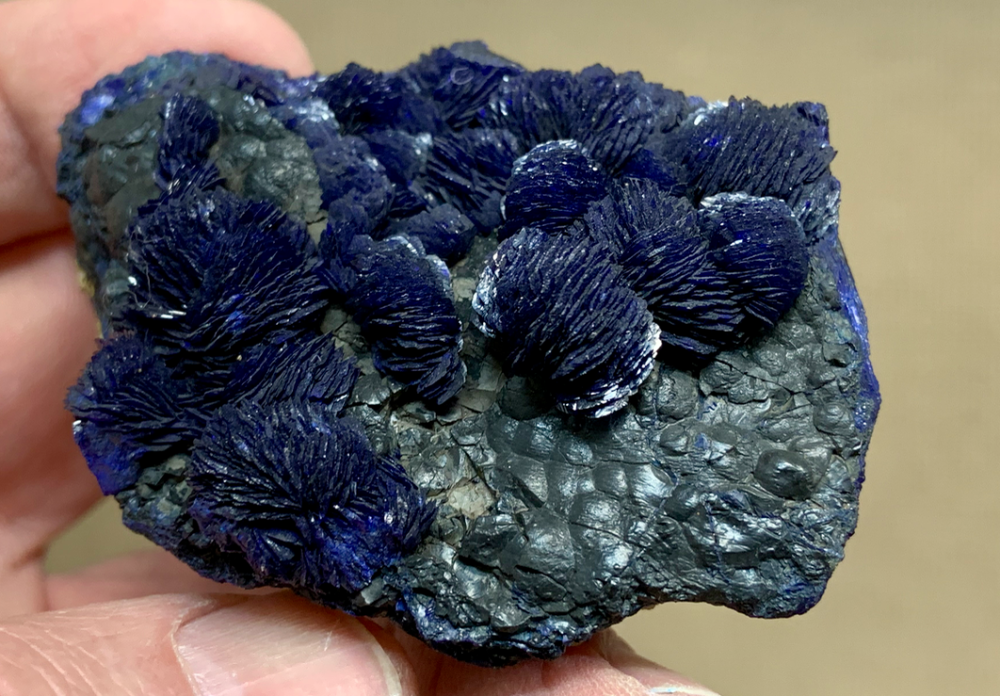 Capture d’écran 2023-04-07 à 13.11.29.png