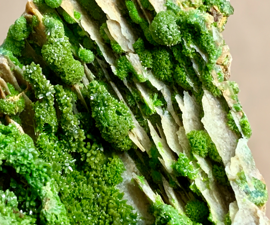 Capture d’écran 2023-04-15 à 23.00.52.png