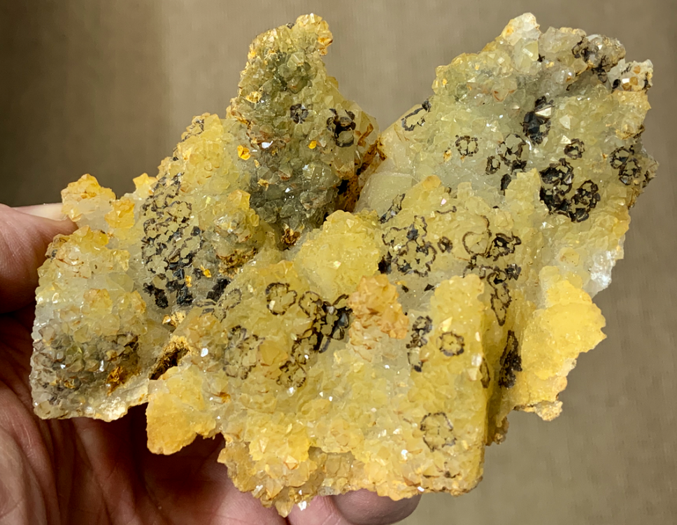 Capture d’écran 2023-04-16 à 00.05.06.png