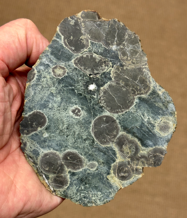 Capture d’écran 2023-05-25 à 00.20.12.png