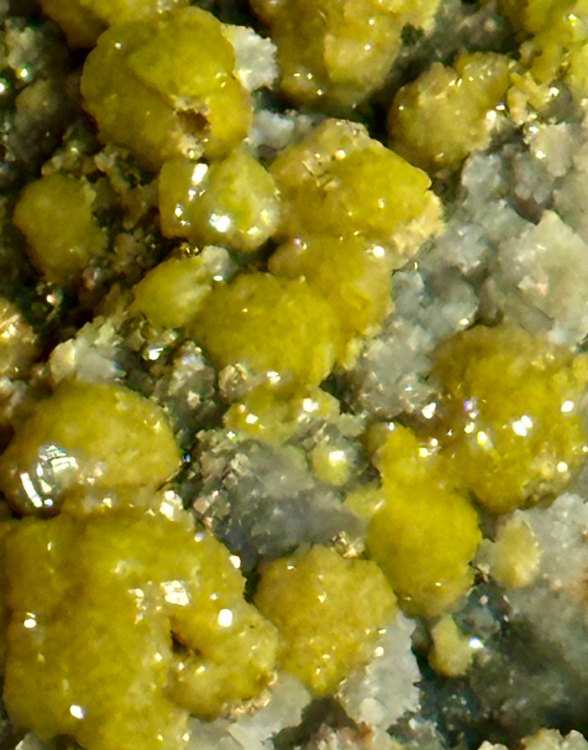 Capture d’écran 2023-05-28 à 15.38.38.png