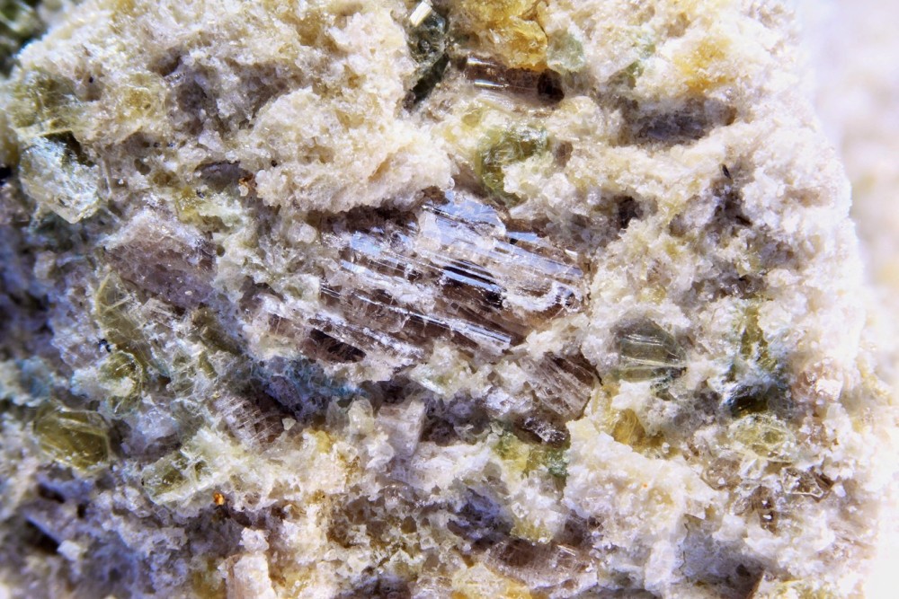 Gédrite Etang de Lherz FOV 11 mm 0 (4) (Copier).JPG