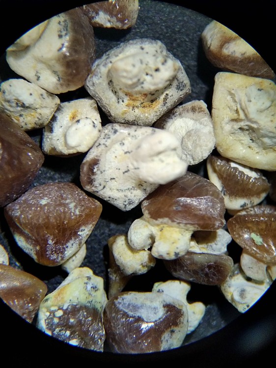 IMG_20230510_110142 (2).jpg