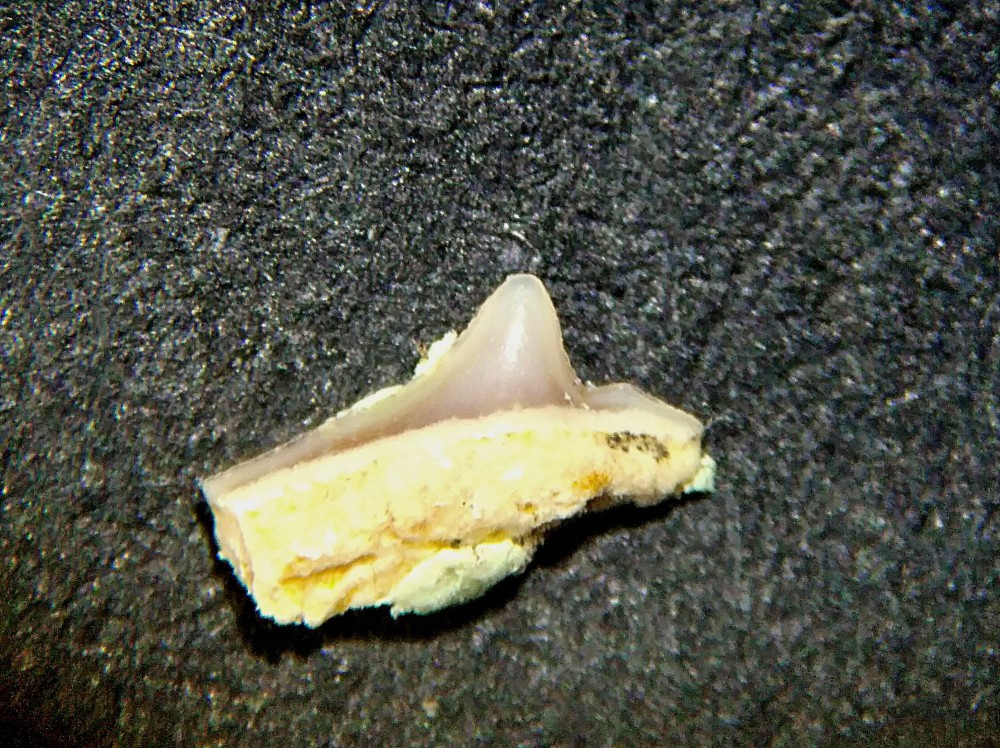 IMG_20230510_111853 (2)(1).jpg