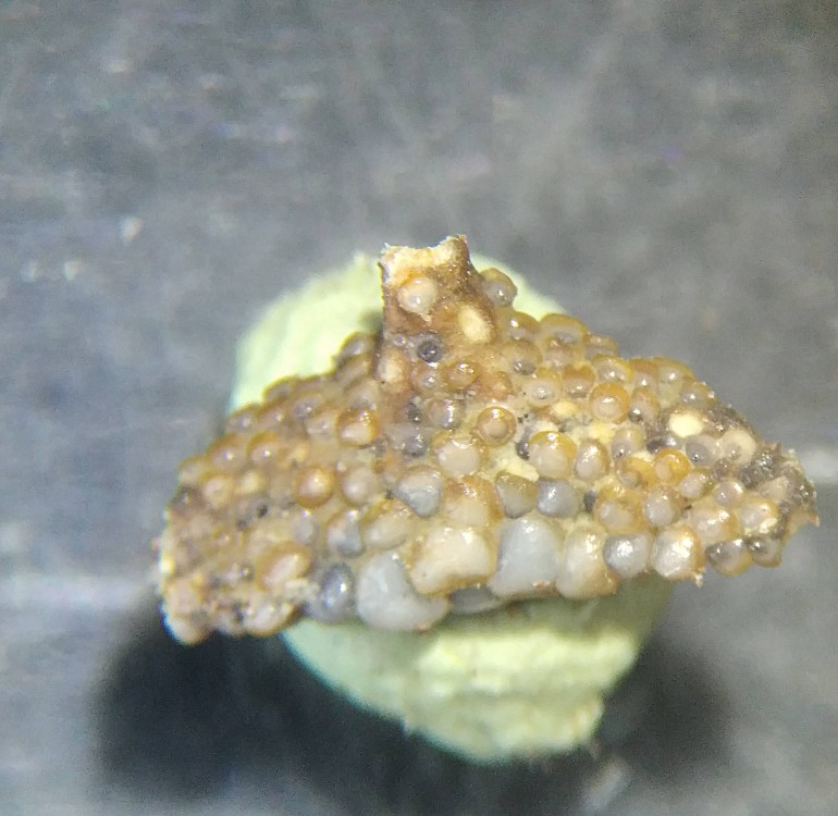 IMG_20230510_150043_1 (2).jpg