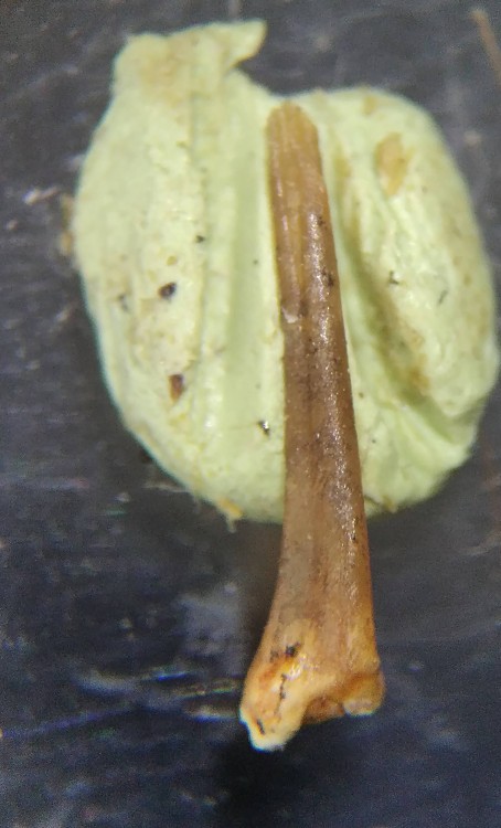 IMG_20230510_150521 (2).jpg