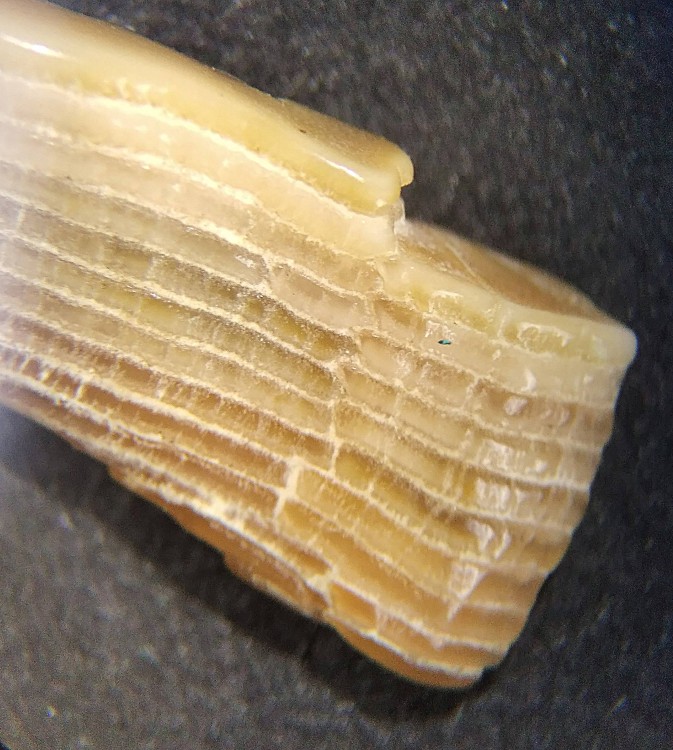 IMG_20230512_114001_1 (3).jpg