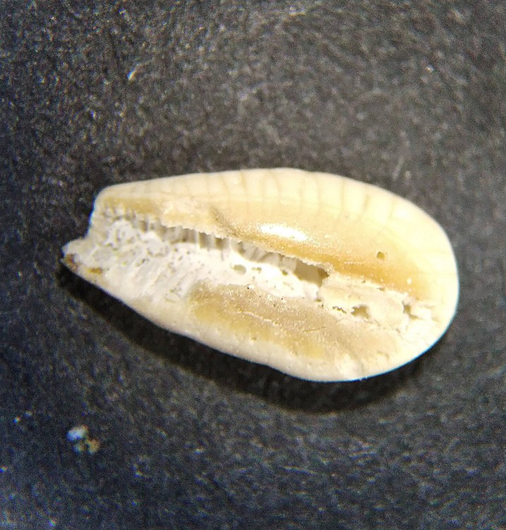 IMG_20230512_114138 (3).jpg