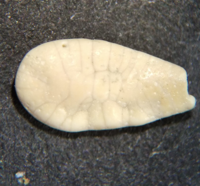 IMG_20230512_114221 (2).jpg