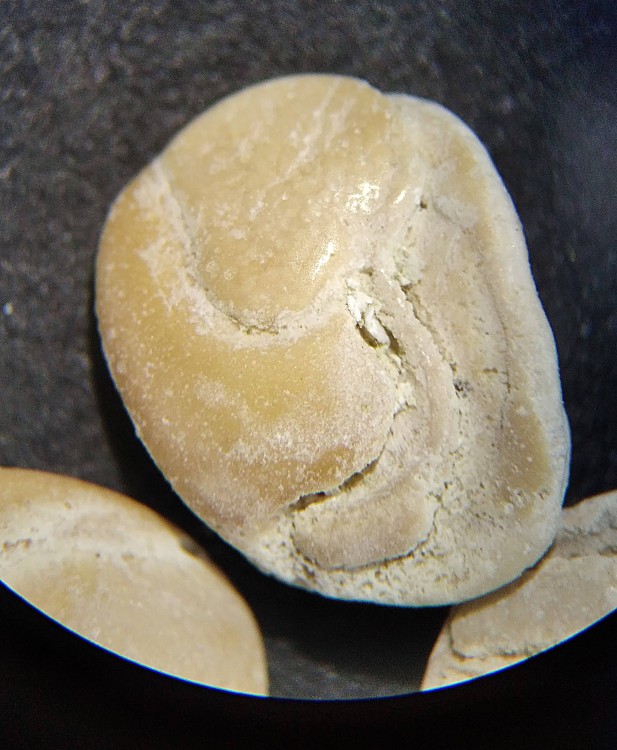 IMG_20230512_114331 (3).jpg