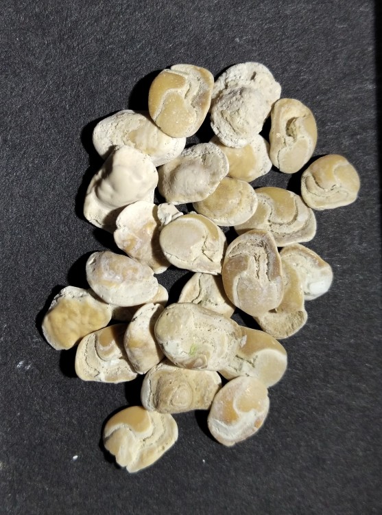 IMG_20230512_114339 (2).jpg