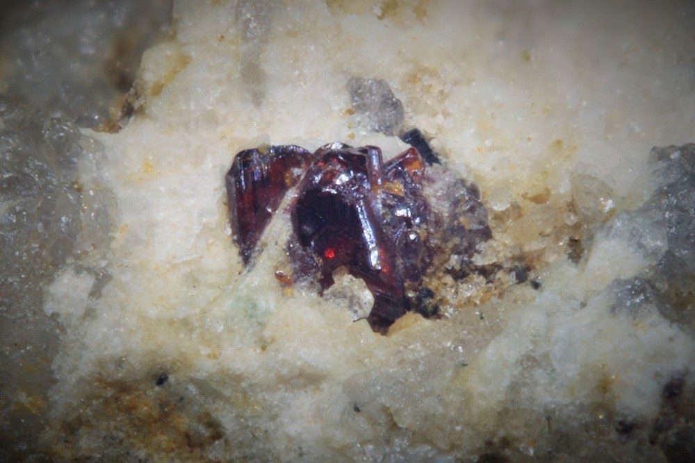 Rutile col d'Agnes 002 (3).jpg