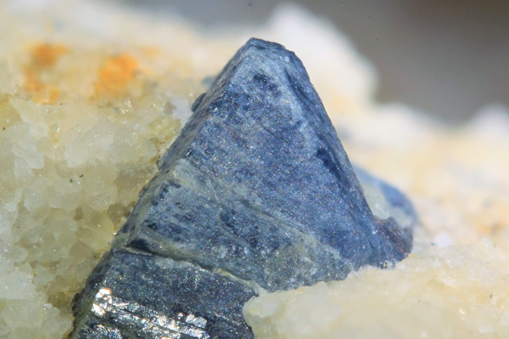 Sapphirine étang de Lherz 012 (3).jpg