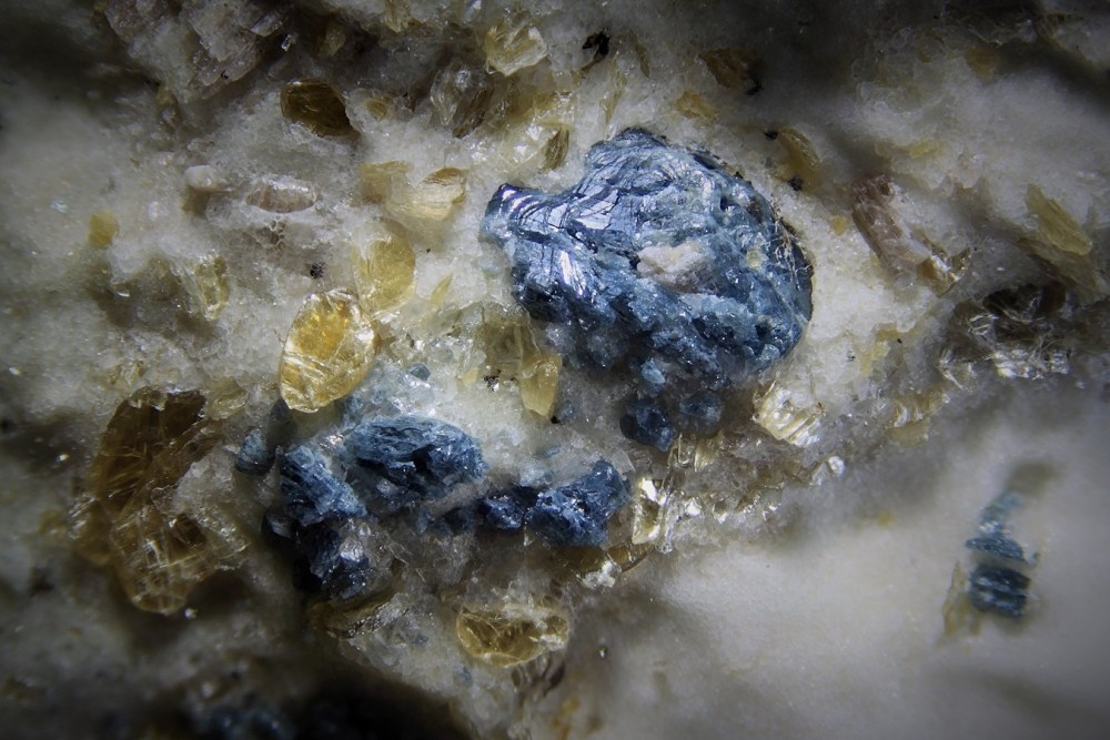 Sapphirine étang de Lherz FOV 7 mm 013 (2) (Copier).JPG