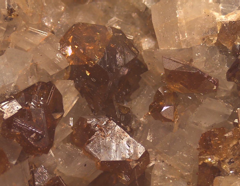 Treves 2023 88x66 s21.jpg