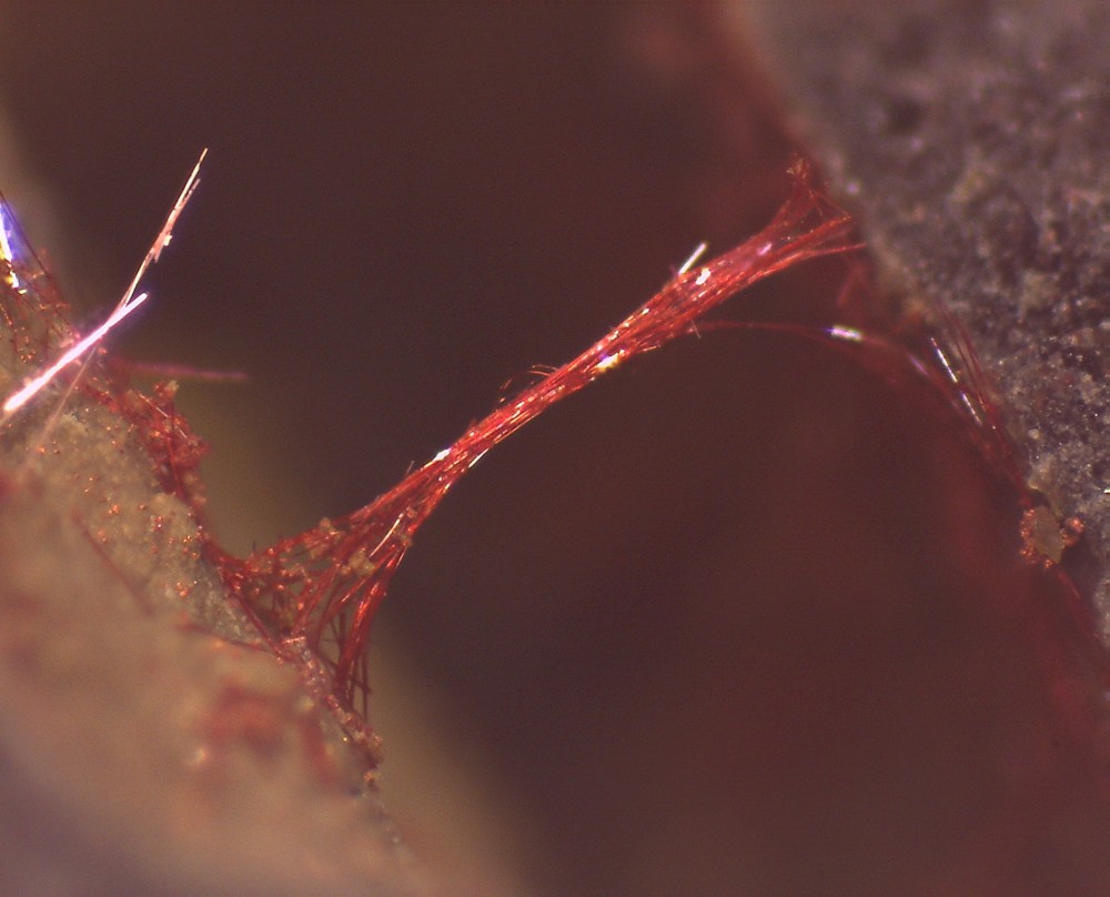 Villecun 2023 30x23 S8.jpg