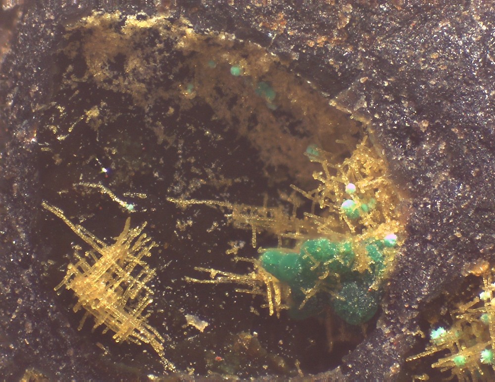 Villecun 2023 31x23 S15.jpg