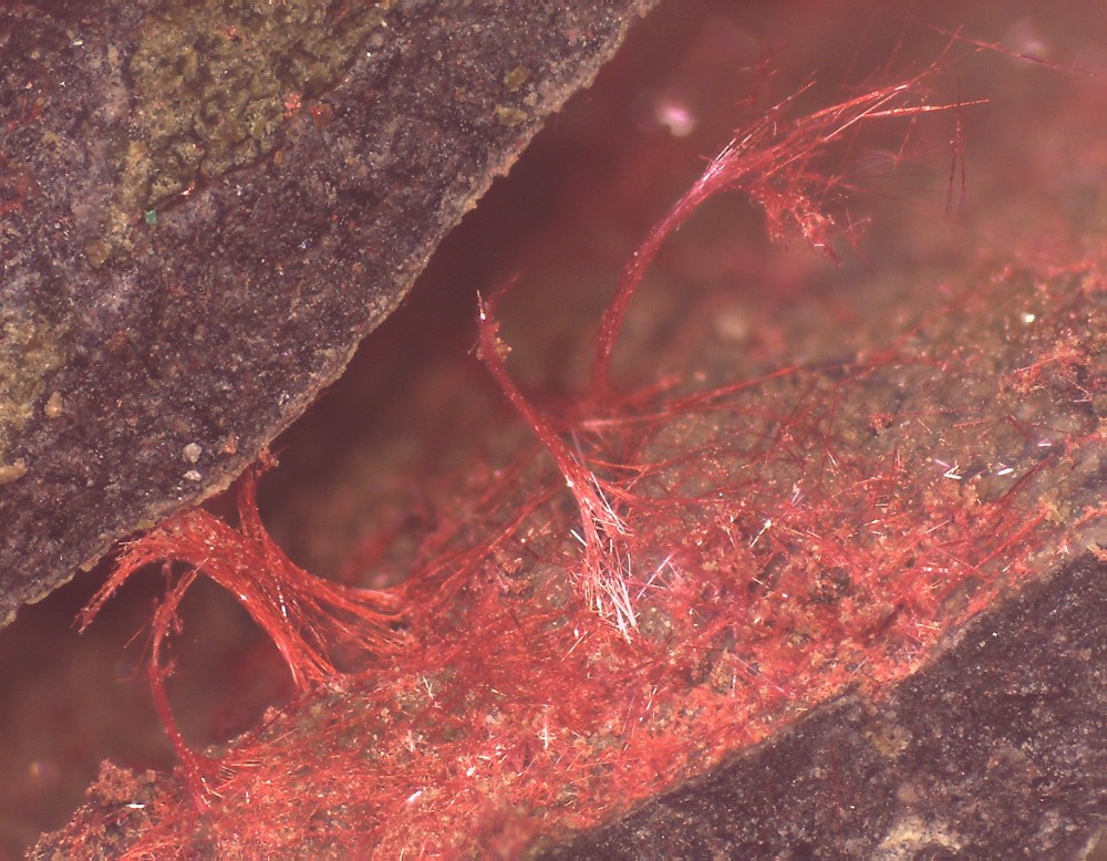 Villecun 2023 54X41 S12.jpg