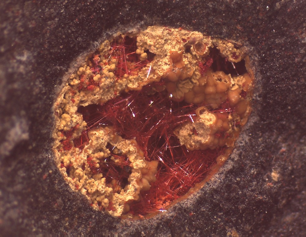 Villecun 2023 54x41 s17.jpg