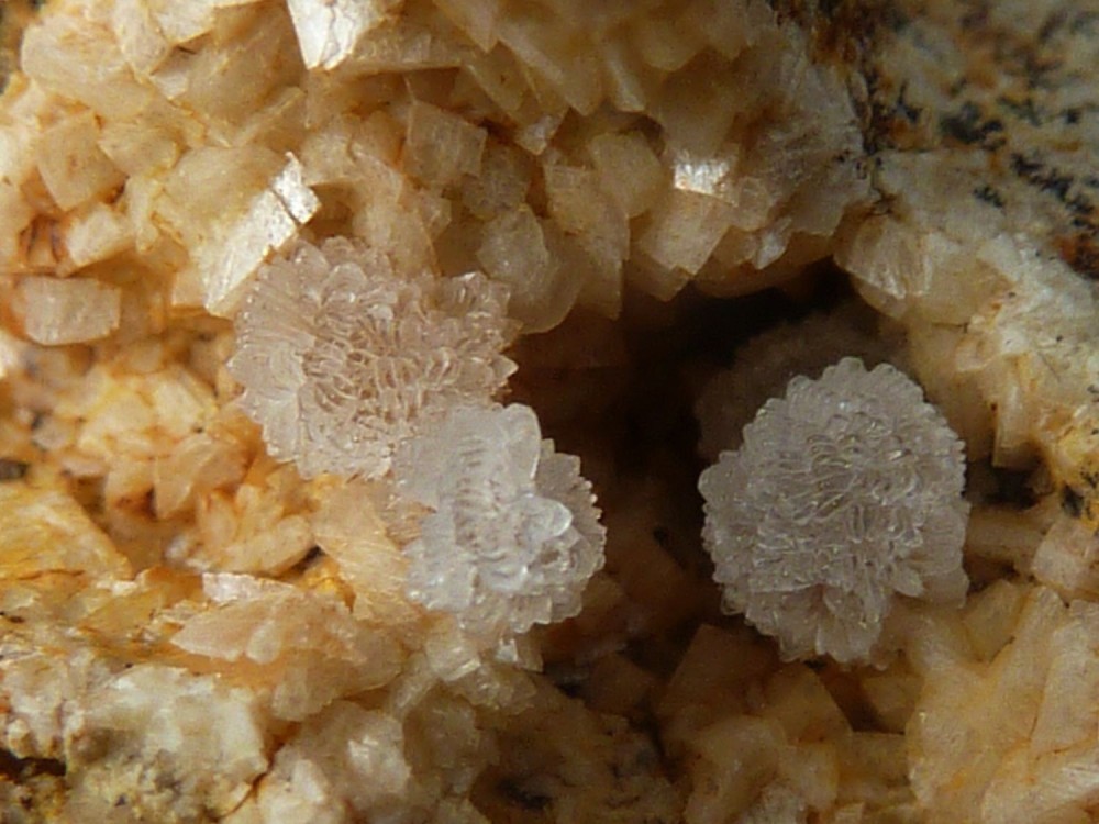 hmimorphite3.thumb.JPG.6ffc47173b011288c7a60fdda8fc284a.JPG