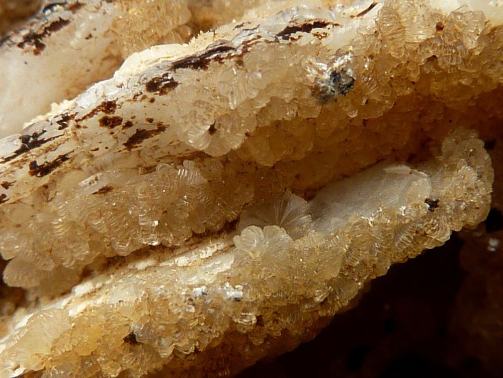 hmimorphite5.thumb.JPG.91cc3760309ee0f3cf78cac8789371a9.JPG