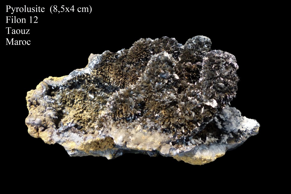 pyrolusiteTaouz.thumb.jpg.b6bccafec22e473c492a3ee183f0bb0a.jpg