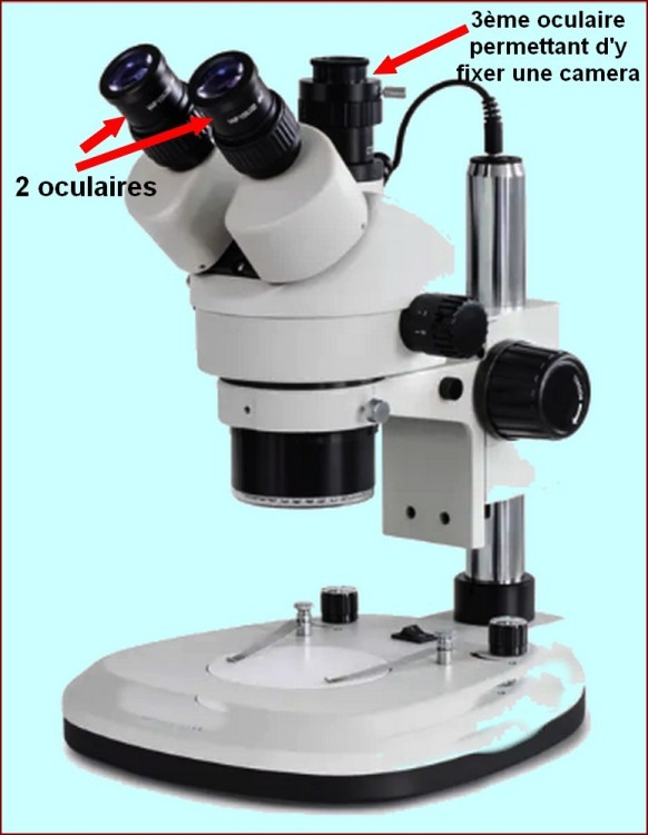 trinoculaire.thumb.jpg.6e06b50b0d5d178281eb97912a34d9db.jpg
