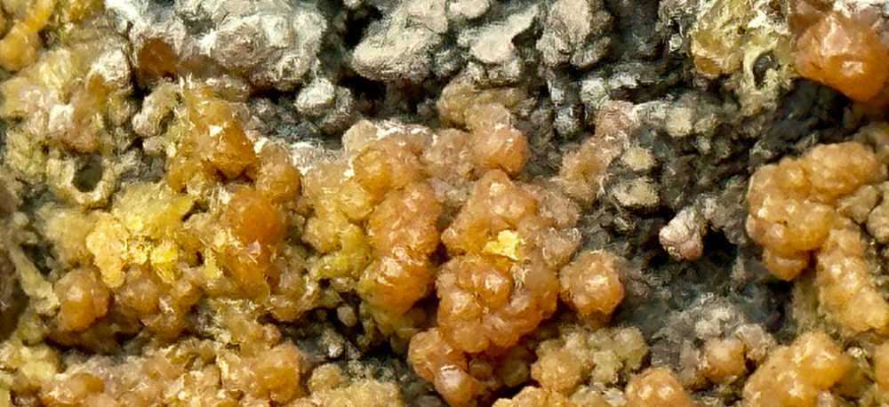 Capture d’écran 2023-06-05 à 00.48.50.png