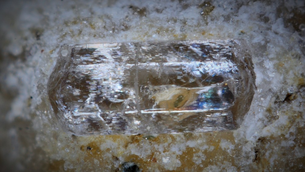 Marialite Miglos FOV 6 mm 004.jpg