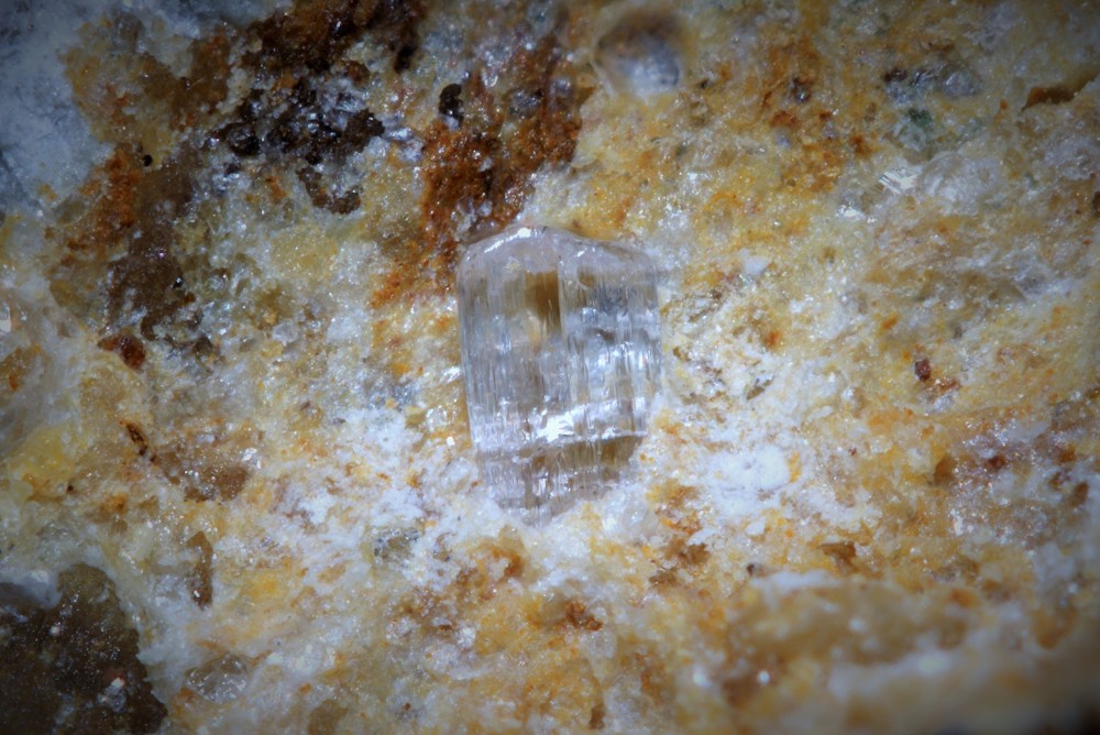 Marialite Miglos FOV 8 mm 003.jpg