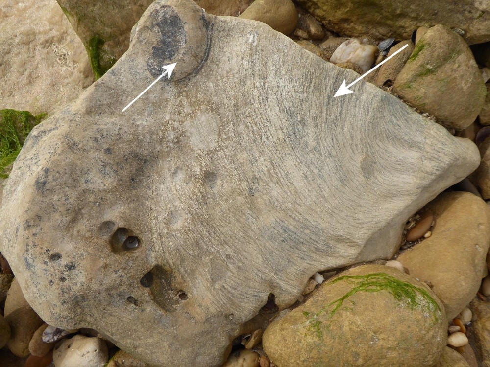 Photo longeville.JPG