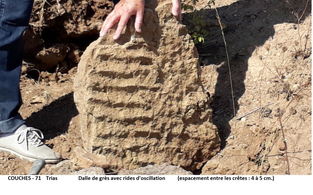 dalle avec rides.jpg