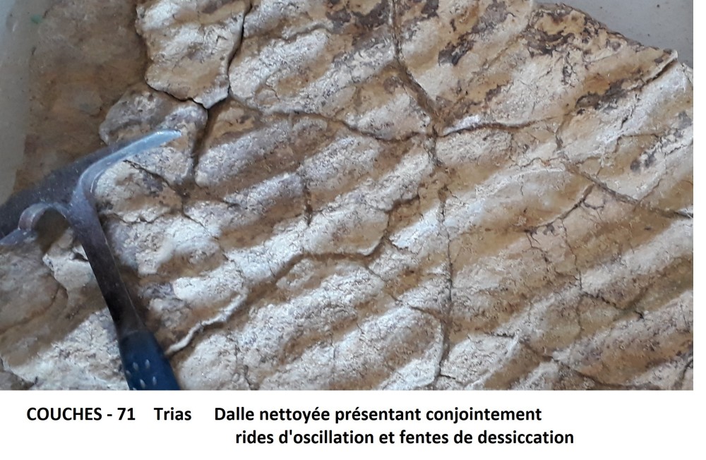 dalle avec rides et fentes.jpg