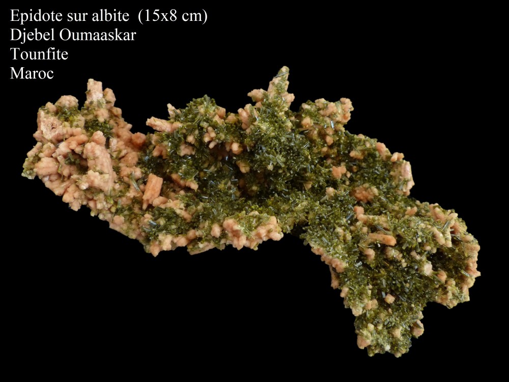 epidotealbite1-1.thumb.jpg.a4652c0f589a9f014b8208aeb35260a4.jpg