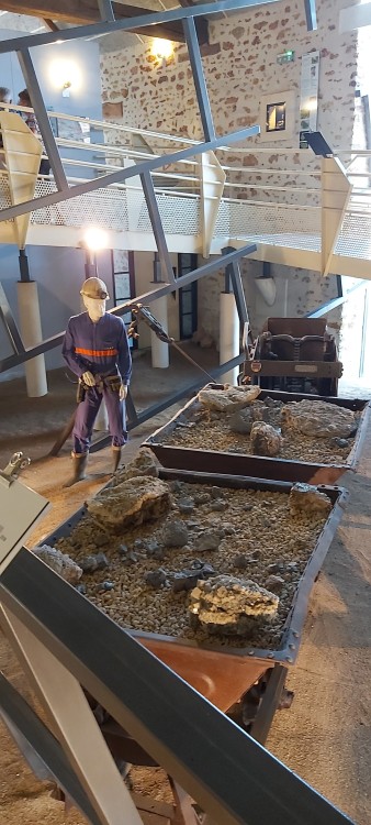 20230708_101051 4.jpg