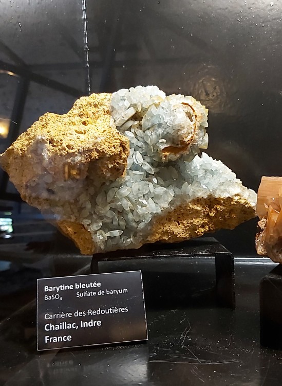 20230708_101243 modifiée.jpg